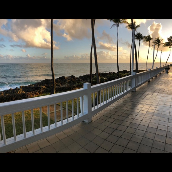 Meet your Posher, Sara - Picture 3 of 5